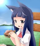  animal_ears black_eyes blue_hair blush cat_ears eating kemonomimi_mode long_hair noa_(nagareboshi) open_mouth sandwich solo sword_art_online yui_(sao) 