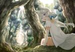  animal_ears blue_eyes character_request fang forest fox_ears fox_tail hair_ribbon long_hair looking_back mikurou_(nayuta) nature open_mouth original ponytail ribbon scenery sitting smile solo tail tree white_hair 