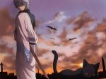  bokken cat crows gintama maruki_(punchiki) punchiki sakata_gintoki silver_hair sword weapon wooden_sword 