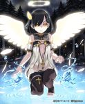  angel angel_wings bangs bare_shoulders barefoot black_hair black_legwear blush cleavage_cutout cloud cross cygames detached_collar detached_sleeves dress expressionless feathers flat_chest glowing glowing_wings gothic hair_feathers hair_ornament hair_over_one_eye halo jewelry lena_(zoal) light_particles looking_at_viewer magic nature necklace night night_sky no_bra outdoors puffy_sleeves river sakieru_(shingeki_no_bahamut) shingeki_no_bahamut short_dress short_hair sky solo squatting standing_on_water swept_bangs thigh-highs thigh_strap thighhighs title_drop toeless_legwear toeless_socks toes tree turtleneck water watermark white_wings wings yellow_eyes zettai_ryouiki 