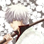  bokken cherry_blossoms flower gin2point gintama japanese_clothes red_eyes sakata_gintoki silver_hair solo sword weapon wooden_sword 