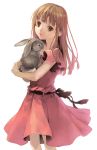  brown_eyes brown_hair bunny degrees_celsius dress highres holding lips long_hair original rabbit simple_background solo white_background 