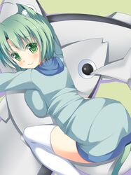  animal_ears asa_no_ha blush breast_press breasts cat_ears green_eyes green_hair looking_at_viewer original sharon_(dodomayo) short_hair sitting smile solo stuffed_animal stuffed_toy thigh-highs thighhighs white_legwear 