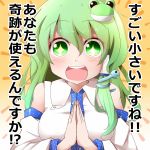  :d blush breasts detached_sleeves frog_hair_ornament green_eyes green_hair hair_ornament hair_tubes happy hiro_(pqtks113) kochiya_sanae long_hair looking_at_viewer open_mouth orange_background smile snake solo symbol-shaped_pupils text touhou translation_request wide_sleeves 