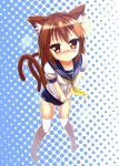  1girl animal_ears blush brown_eyes brown_hair cat_ears cat_tail chen highres karasu10gu multiple_tails neckerchief school_swimsuit school_uniform serafuku shirt_tug solo swimsuit swimsuit_under_clothes tail thighhighs touhou white_legwear 