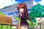  :o baseball baseball_bat bench blush brown_eyes brown_hair cat grass little_busters!! long_hair moonknives mutsuki_(moonknives) natsume_rin open_mouth plaid plaid_skirt ponytail school_uniform seifuku sitting skirt solo stairs tagme_(character) tree wariza 