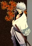  bokken gintama haikyosiduku hara_tsukiko japanese_clothes red_eyes sakata_gintoki silver_hair solo sword weapon wooden_sword 