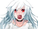  animal_ears blush collar crying fang photoshop red_eyes tears white white_hair 