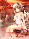  animal_ears autumn_leaves bare_shoulders blush bug bug_(artist) highres inubashiri_momiji leaf looking_at_viewer maple_leaf naked_towel onsen red_eyes short_hair silver_hair sitting solo tail touhou towel tree water wolf_ears wolf_tail 