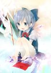  :d blue_eyes blue_hair cirno fang flag highres hijiri-ssh holding ice ice_wings open_mouth short_hair single_sock sitting smile socks solo touhou wings 