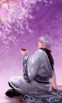  cherry_blossoms gintama japanese_clothes sakata_gintoki silver_hair sitting solo tactician_jin tree 