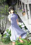  black_hair blue_eyes chef_no_kimagure_salad dress flower hydrangea looking_at_viewer original plant potted_plant short_hair solo stairs standing white_background white_dress 
