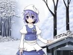 blue_hair bluepony hat letty_whiterock short_hair snow solo touhou tree 