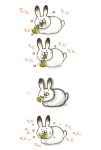 bunny eating flower noja rabbit 