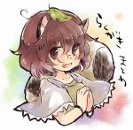  animal_ears bracelet brown_eyes brown_hair bust capelet fang futatsuiwa_mamizou glasses jewelry leaf leaf_on_head open_mouth pince-nez raccoon_ears raccoon_tail sen1986 short_hair smile solo tail touhou 