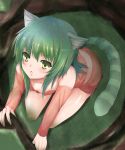  :o animal_ears breast_press cat_ears cat_tail detached_sleeves down_blouse green_eyes green_hair highres original short_hair sitting solo striped striped_tail tail yatt83 