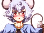  :&lt; animal_ears basket blush eyebrows grey_hair harukahime mouse mouse_ears mouse_tail nazrin red_eyes solo tail thick_eyebrows touhou zan_(harukahime) 