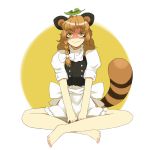  animal_ears bakedanuki_(touhou) barefoot blonde_hair bloomers braid chiyoshi_(sevendw) cosplay error indian_style kirisame_marisa kirisame_marisa_(cosplay) leaf makeup raccoon_ears raccoon_tail side_braid sitting smile solo tail tanuki toe5278 touhou 