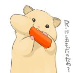  :3 ambiguous_gender animal black_eyes carrot cheek_bulge cheeks close-up eating feral food fukurou_(owl222) hamster head_tilt japanese_text no_humans original rodent simple_background solo tooth translated translation_request vegetable 