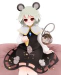  1girl animal_ears arano_oki basket cheese grey_hair mouse_ears mouse_tail nazrin red_eyes short_hair tail touhou 