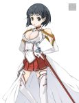  :o asuna_(sao) asuna_(sao)_(cosplay) black_eyes black_hair breasts cleavage cosplay dokuringo_su hair_ornament hairclip kirigaya_suguha sheath sheathed short_hair sword sword_art_online thigh-highs thighhighs title_drop weapon white_legwear 