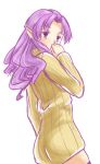  blazing_souls bridget_(blazing_souls) drawfag long_hair pointy_ears purple_eyes purple_hair ribbed_sweater solo spectral_(series) sweater sweater_dress thigh-highs thighhighs turtleneck violet_eyes 