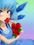  blue_dress blue_eyes blue_hair blush cirno drawfag dress eyelashes flower ice ice_wings rose short_hair solo touhou wings 