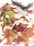  asuka_(louyun) autumn_leaves bird blurry depth_of_field green_eyes green_hair hair_ribbon kagiyama_hina long_hair open_mouth ribbon skirt skirt_set smile solo touhou 