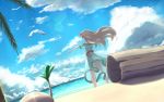  bird cloud clouds dress highres link's_awakening marin marin_(legend_of_zelda) marin_(the_legend_of_zelda) mille nintendo ocean seagull sundress sunlight the_legend_of_zelda 