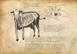  bone cow creature english horns michael_casteel miltank no_humans pokemon skeleton text 
