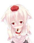  animal_ears blush breasts collar collarbone detached_sleeves down_blouse hat inubashiri_momiji kunsei_hamu looking_at_viewer mouth_hold pocky red_eyes silver_hair solo tokin_hat touhou wolf_ears 