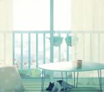  cat closed_eyes cup curtains eyes_closed hinata_(lipcream) indoors lying no_humans on_side original pillow plant potted_plant revision room scenery sleeping solo table 