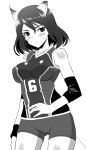  adriana_visconti animal_ears bare_shoulders bike_shorts blush breasts erect_nipples flying_sweatdrops kadomaru_misa kyougoku_shin monochrome short_hair solo strike_witches sweatband uniform 