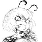  angry antennae clenched_teeth face monochrome simple_background sketch space_jin spacezin touhou white_background wriggle_nightbug 
