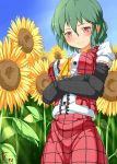  absurdres ascot blush breasts cru flower gloves green_hair highres kazami_yuuka large_breasts plaid red_eyes short_hair skirt smile solo sunflower touhou 