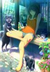  arm_support bare_shoulders black_hair blue_eyes bottle butterfly copyright_request crossed_legs dog drink flower haitaka legs_crossed light_smile looking_at_viewer plant potted_plant puppy revision sandals shade shiba_inu short_hair short_shorts shorts sitting solo sunlight veranda wind_chime 
