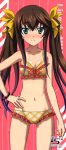  1girl absurdres bikini blush bracelet brown_hair cowboy_shot full-face_blush green_eyes hand_on_hip highres huang_lingyin infinite_stratos jewelry plaid plaid_bikini swimsuit twintails 