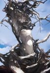  1girl bare_tree branch breasts noir_(ibaraki) original plant_girl sky solo tree white_skin 