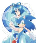  animal artist_request color_connection crossover dress futoumeido gloves hair_ornament hairpin kaku_seiga md5_mismatch pun sega shawl short_hair simple_background smile smirk sonic sonic_the_hedgehog touhou 