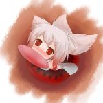  animal_ears blush detached_sleeves frisbee from_above inubashiri_momiji looking_up mouth_hold nightmare_cat red_eyes solo tail tail_wagging touhou white_hair wolf_ears wolf_tail 