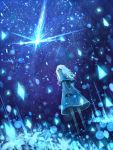  black_eyes boots bou_nin capelet dress dutch_angle expressionless flower highres looking_back night night_sky original scenery sky solo star_(sky) starry_sky white_hair 
