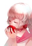  apple braid bust character_request closed_eyes collarbone dragon_nest eyes_closed food fruit highres holding long_hair lugcy ribbon_choker silver_hair single_braid solo white_background 