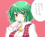  blush green_hair hammer_(sunset_beach) kazami_yuuka long_sleeves open_mouth puffy_sleeves red_eyes short_hair solo touhou translated translation_request 
