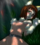  amami_haruka animal_ears blush breasts clearite grass green_eyes idolmaster looking_at_viewer lying on_back paws solo 