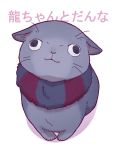  caster_(fate/zero) cat fate/zero fate_(series) kaniharu no_humans 