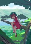  animal_ears bloomers brown_hair cat_ears chen earrings hat in_tree jewelry landscape long_sleeves mary_janes mountain multiple_tails red_eyes shoes short_hair sitting sitting_in_tree skirt sky socks solo tail takuzui touhou tree water white_legwear 