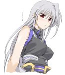  bare_shoulders blush breasts bust hmx99_elf large_breasts long_hair lyrical_nanoha mahou_shoujo_lyrical_nanoha mahou_shoujo_lyrical_nanoha_a&#039;s mahou_shoujo_lyrical_nanoha_a's mahou_shoujo_lyrical_nanoha_the_movie_2nd_a&#039;s mahou_shoujo_lyrical_nanoha_the_movie_2nd_a's red_eyes reinforce silver_hair solo translated translation_request 