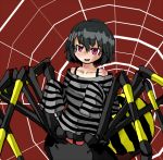  bare_shoulders black_hair blush bob_cut bra_strap extra_legs jorougumo long_sleeves monster_girl original pink_eyes pullover solo spider_girl spider_web striped tamanegi_tarou tsuchigumo 