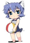  animal_ears ball beachball blue_eyes blue_hair blush chibi copyright_request lowres school_swimsuit short_hair simple_background solo swimsuit tail tonbi white_background 
