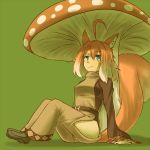  animal_ears green_background kuromiya mushroom original simple_background sitting smile solo tail 